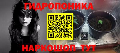 прущие грибы Обь