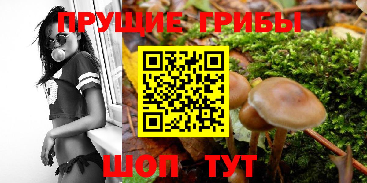 Галлюциногенные грибы прущие грибы  Вход с VPN  Томск 